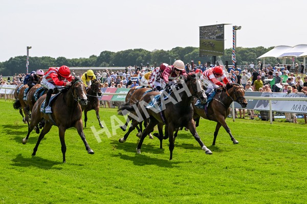 130625-Race 3-Easy Peeler-9024 - Race 3 3.00pm British EBF Supporting Racing With Pride Fillies' Handicap