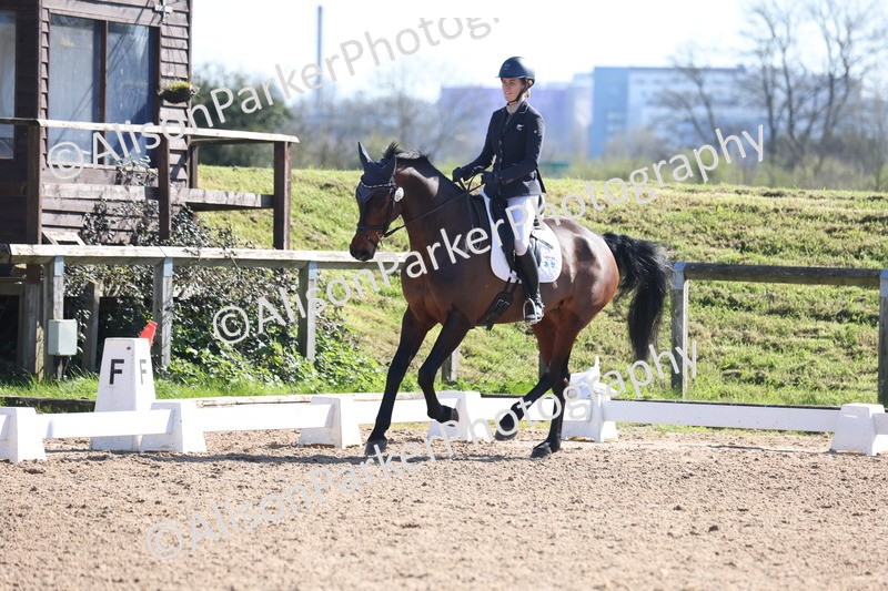 20260318-0559 - Class 5 - Novice 2