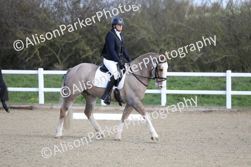 20260314-0320 - DR1 - Intro 1