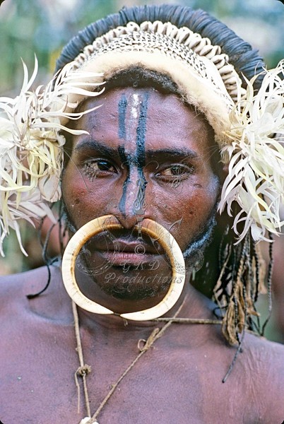 Tribesman - E. Highlands, Papua New Guinea - PEOPLE