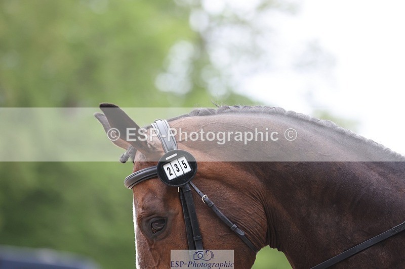 240523-165211-06081 - 235-GREENHALL_JAY-Henry_Hobby