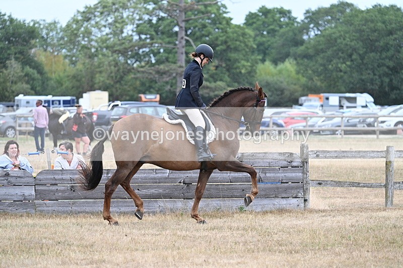 WJ7_0879 - Class 7 Riding Club Show Horse