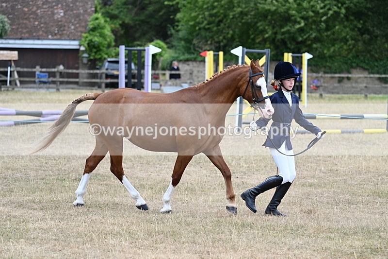 WJ7_8552 - Class 4 Prettiest Mare up to 14.2hh