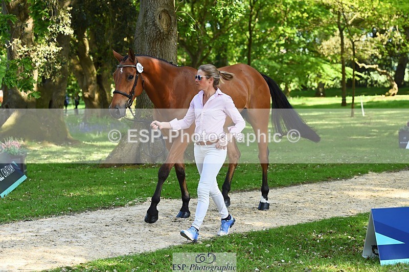 230524-163534-00969 - 182-HARTHILL_FLAMENCO-Izzy_Taylor-WEDTrotUp+DR