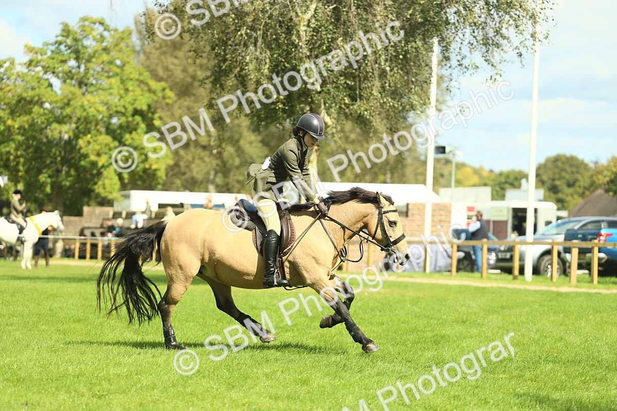 SBM_42851 - S30 - M&M Working hunter Pony