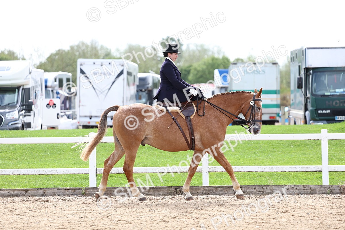 SBM_03292 - Class 23 - SSA Classical (any age)