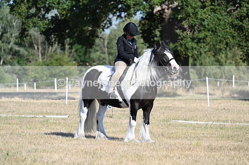 WJ7_8875 - Time 09:00 to 09:24