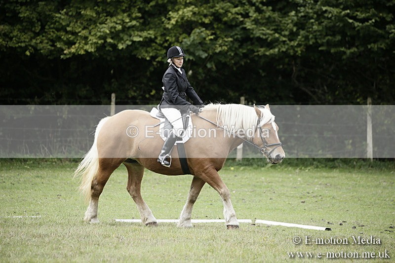 BVR080918 144 - BVRC Novice Dressage & CR 08/09/18