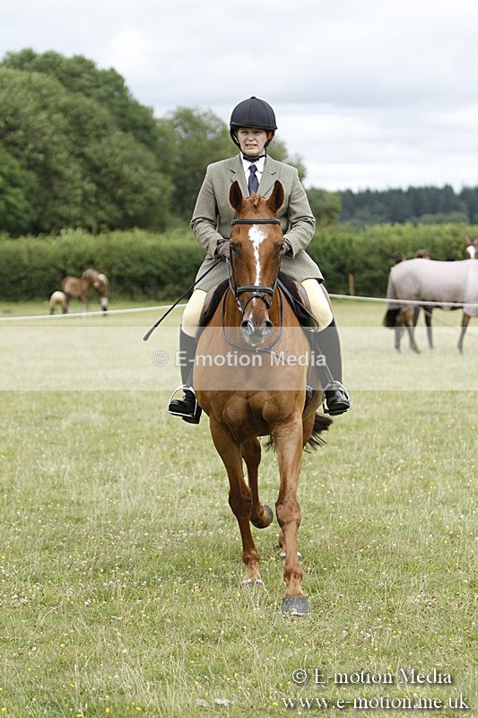 BVR160717-2240 - Ring 3 BVRC Show 16/07/17