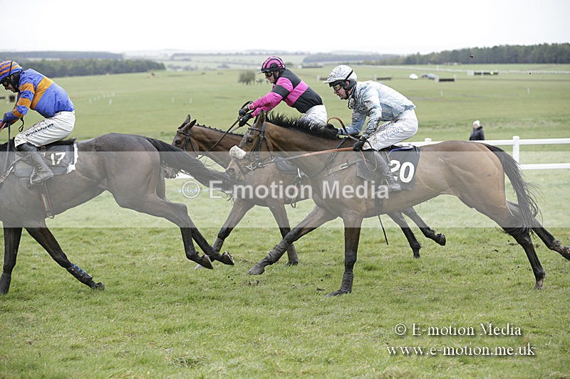 PtP 150320 0235 - New Forest Point-to-Point Larkhill 15/03/20