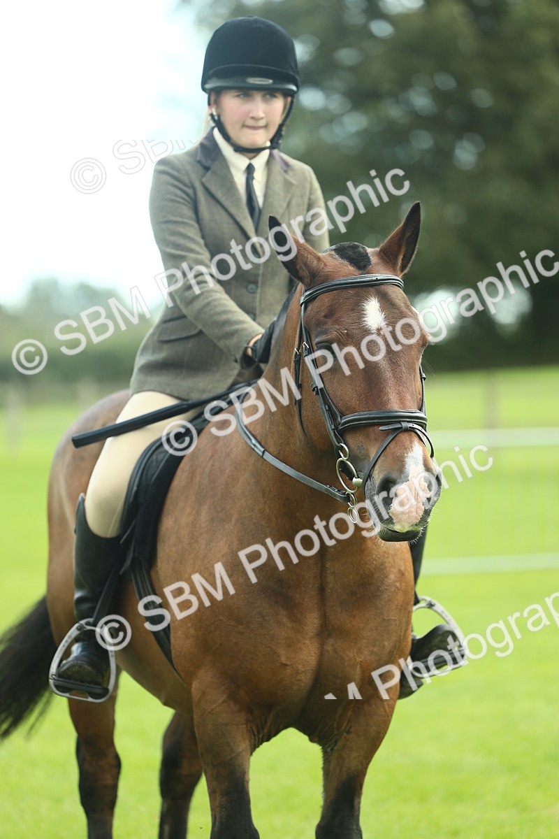SBM_42227 - S29 - Novice & Newcomers Working Hunter Pony