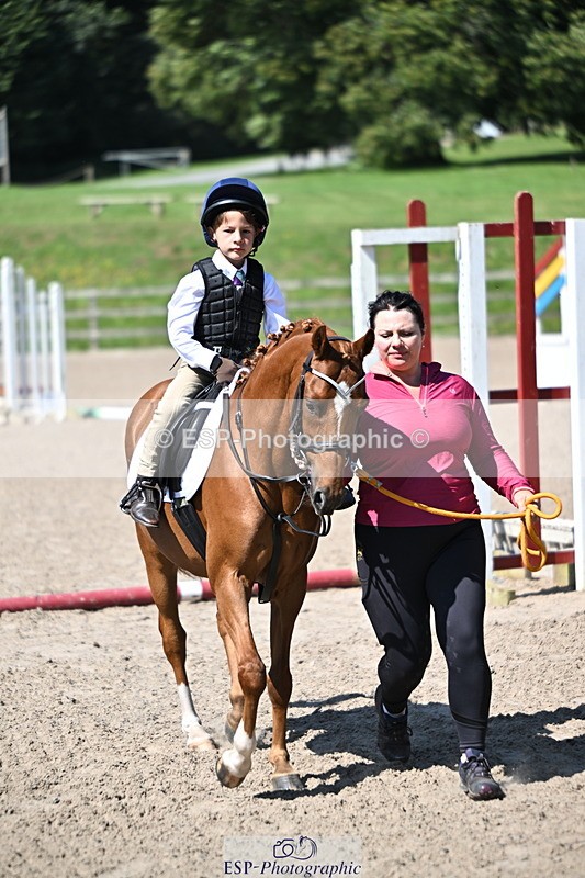 240729B-110536-02219 - Showjumping Competition