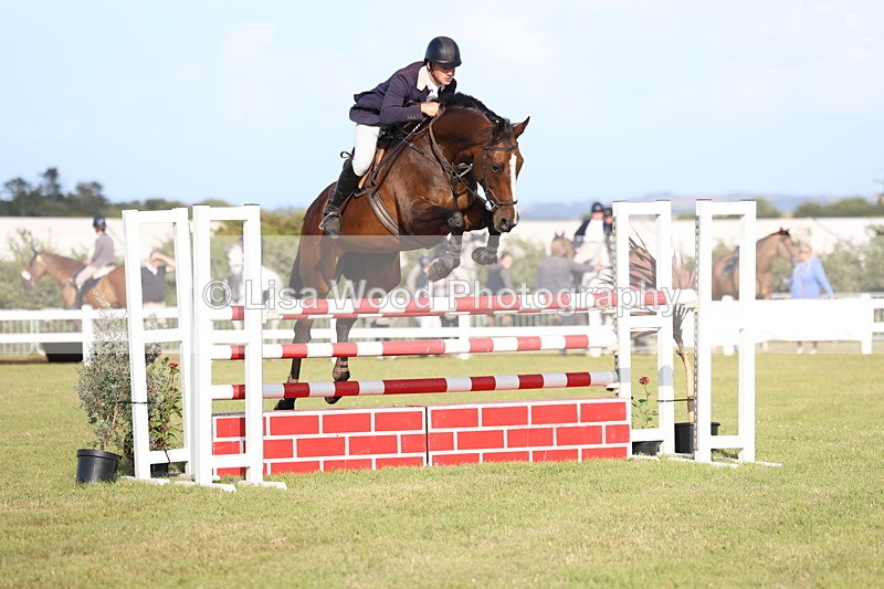 3E7A4424 - Class C: Showjumping Senior Foxhunter