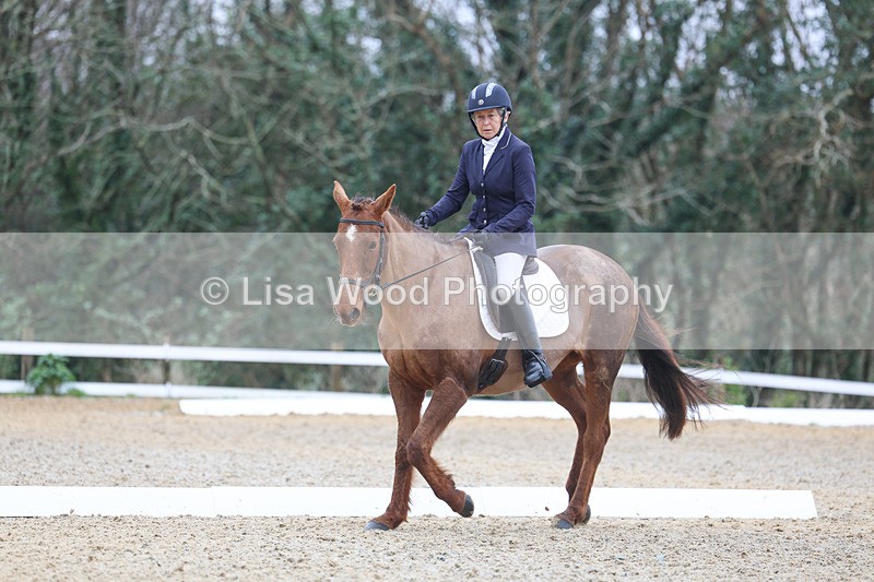 3E7A1077 - Class 6: Novice 1 2024 Section B