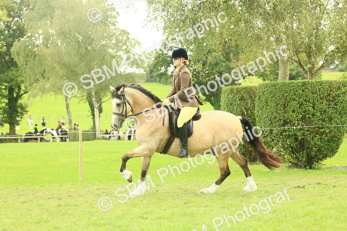 SBM_72038 - S60 - Mountain & Moorland Ridden Large Breeds