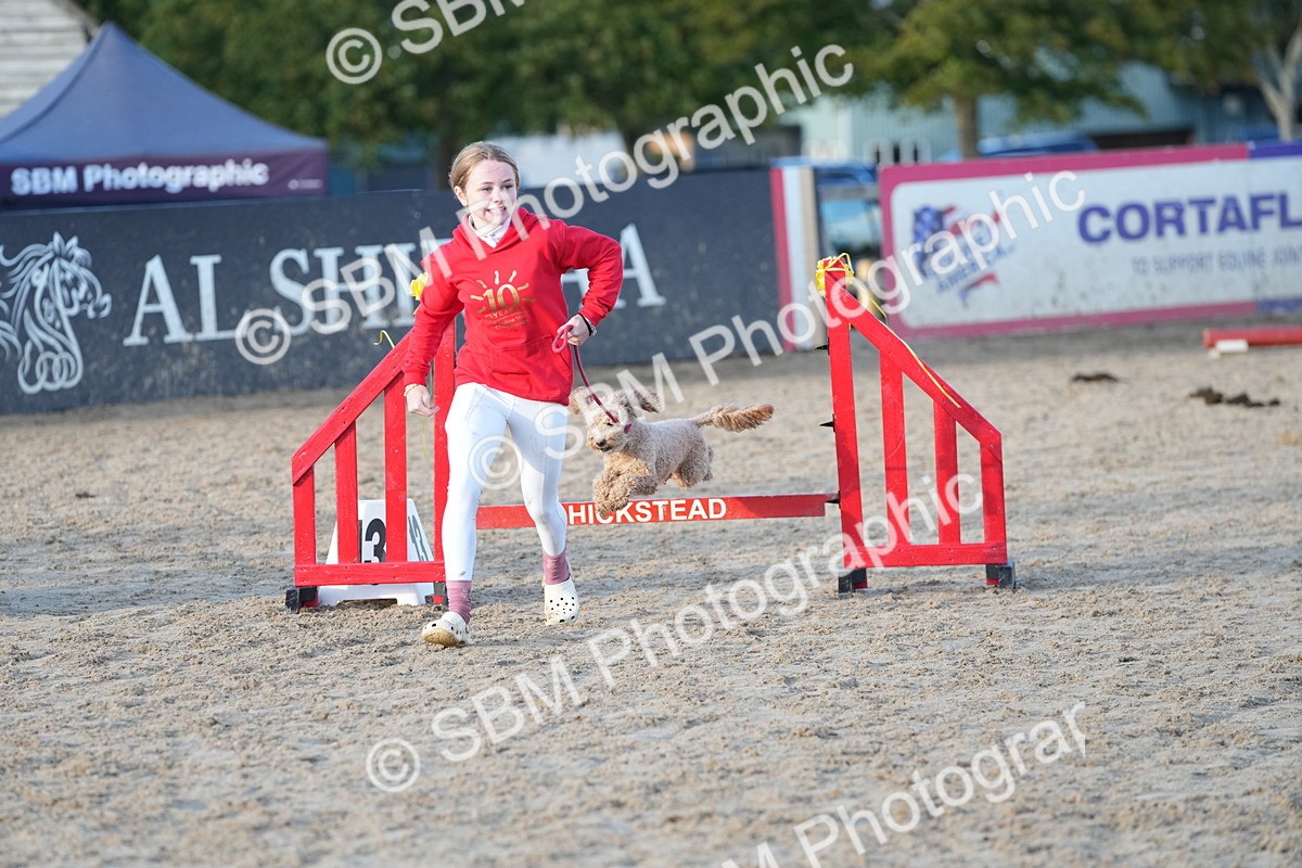 SBM_29486 - J44 - Horse & Hound Open 70cm