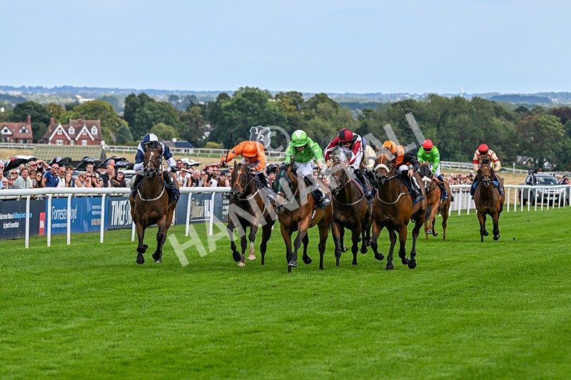 300826-Race 2-Jm Jungle-9643 - Race 2 2.15pm William Hill Beverley Bullet Sprint Stakes