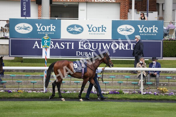 yr13052021r4-5 - Race 4 3.10pm Al Basti Equiworld Dubai Dante Stakes