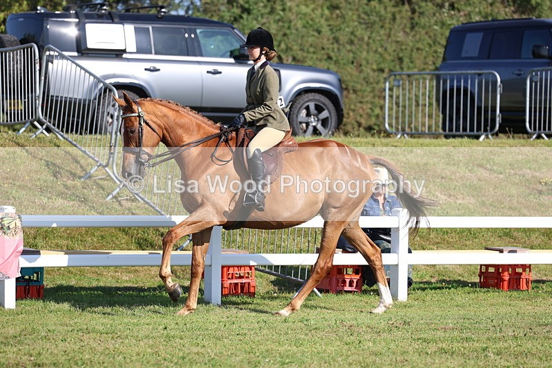 3E7A5532 - Class 2: Rising Star Large Hack/Riding Horse
