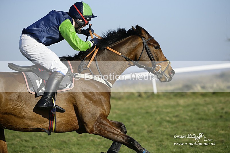 PtP 270222 244 - South & West Wilts Point-to-Point Larkhill 27/02/22