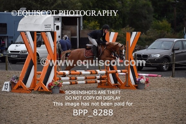 BPP_8288 - CLASS 1 Club/ Unaffiliated 60cms Open