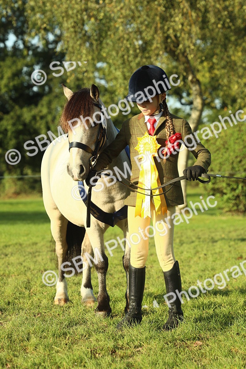 SBM_58468 - S37 - Starters In Hand Showing