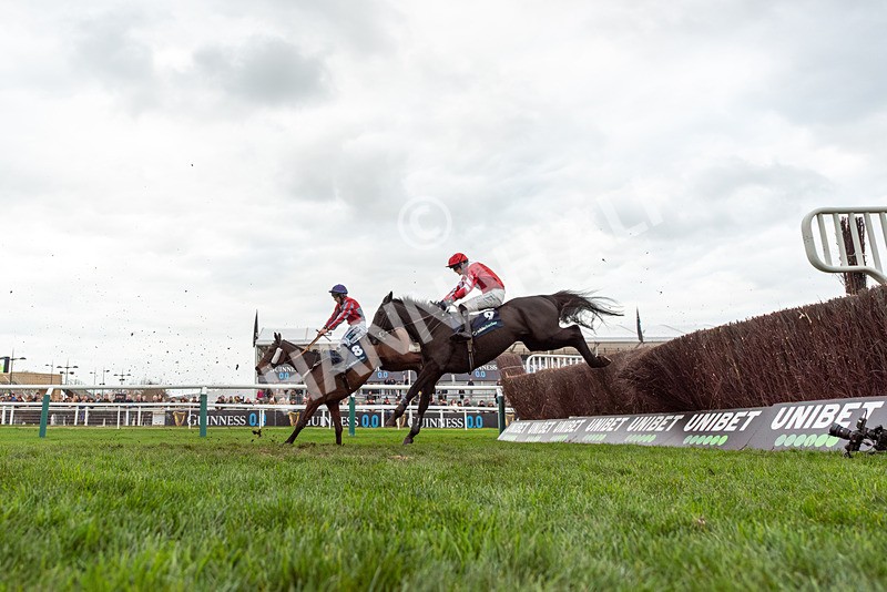 161125-Race 4-Lady Balko-3062 - Race 4