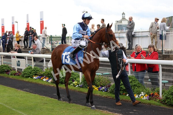 yr22052022r3-25 - Race 3: 4:35pm Sky Bet Sunday Series Dash