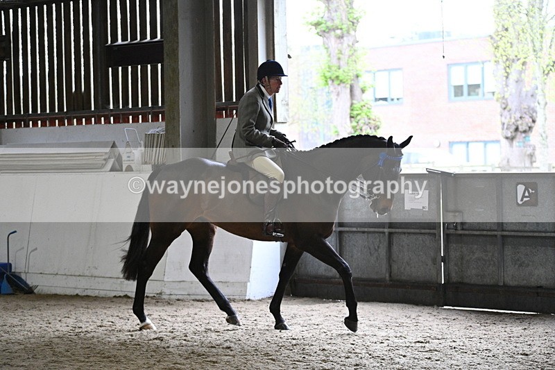 WJ7_3787 - Class 17 Ridden Cob