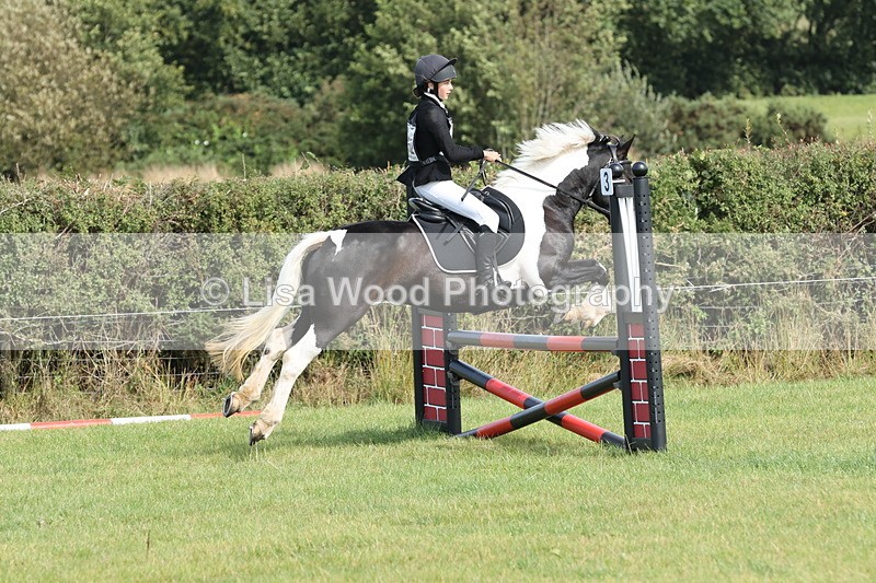 JPP_8618 - Class 2: Trekenning: 80cm Showjumping