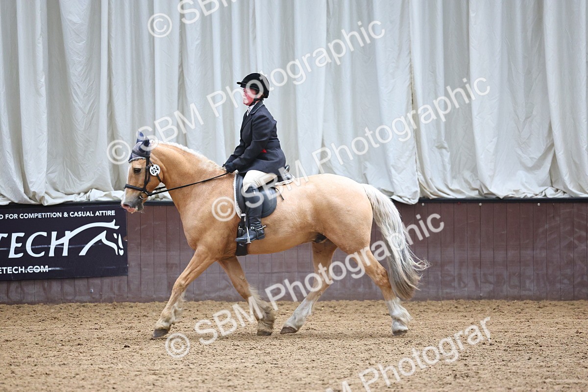 SBM_005395 - Class 3 - Novice 5