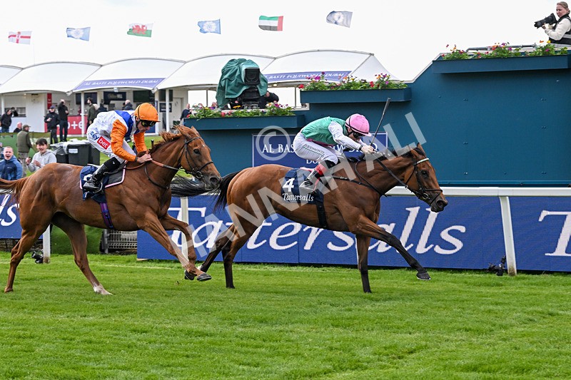 130526-Race 5-Legacy Link-3262 - Race 5 4.05pm Tattersalls Musidora Stakes