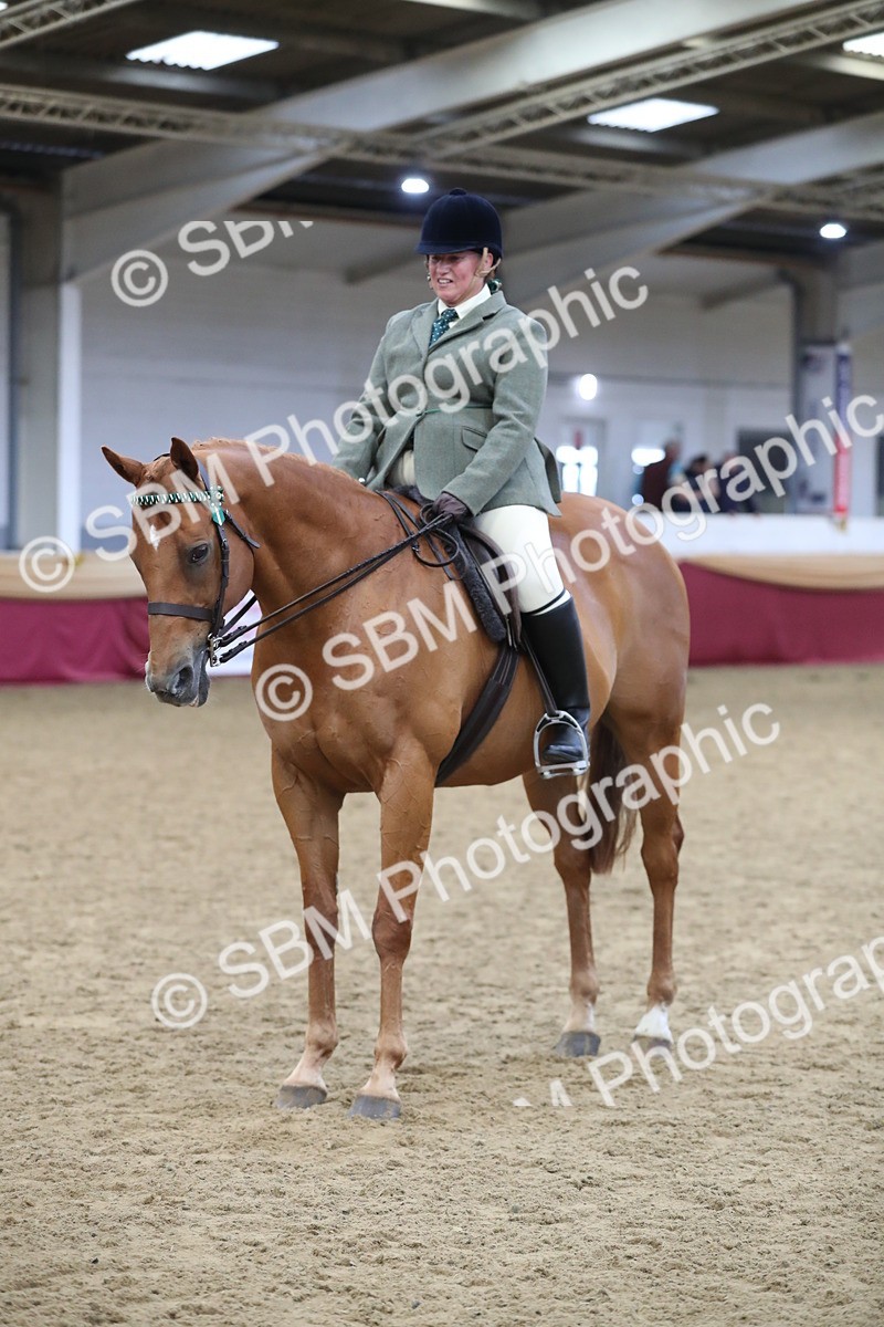 SBM_12365 - Class 108 Ridden Retired Racehorse- Pre Judging