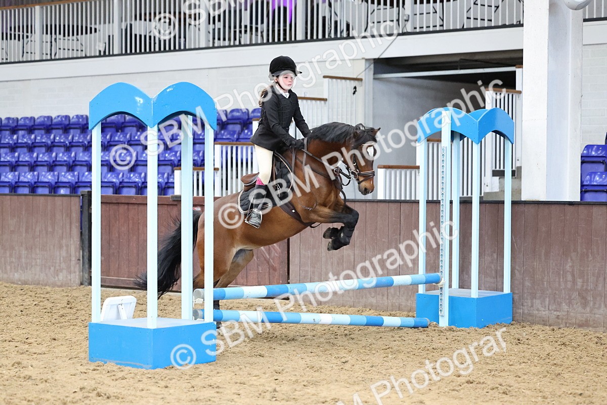 SBM_007754 - Class 3 - 60cm showjumping