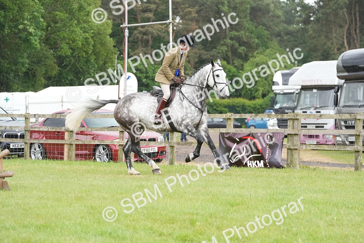 SBM_12822 - Class 97-98 - LIHS BSHA Rising Star Working Show Horse Hunter
