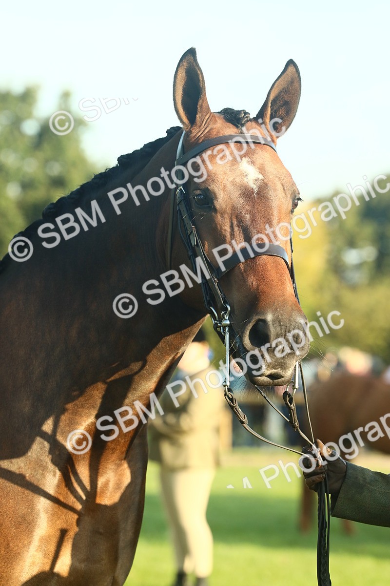 SBM_56696 - S36 - Starters Best Turnout