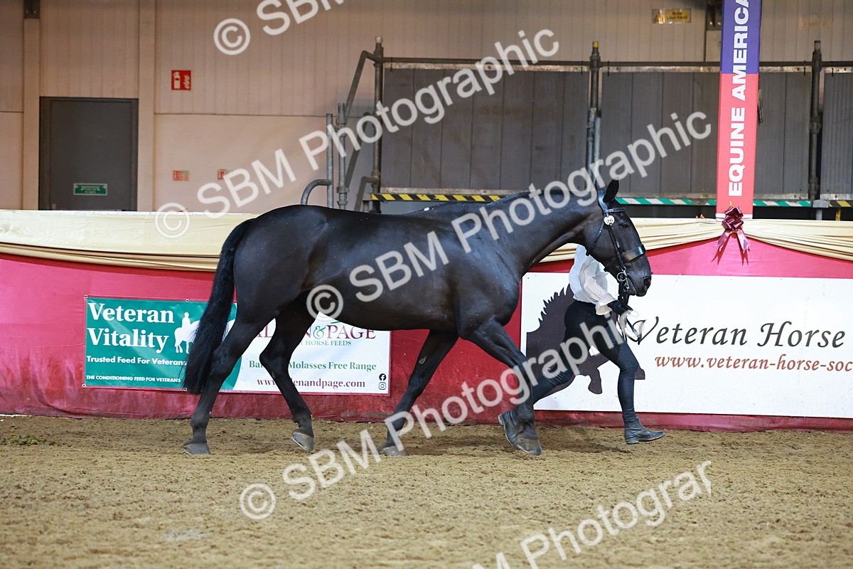 SBM_14808 - Class E - Best Turned Out Champ