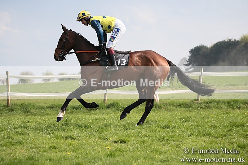 PtP 210418 407 - South & West Wilts Point-to-Point Larkhill 21/04/18