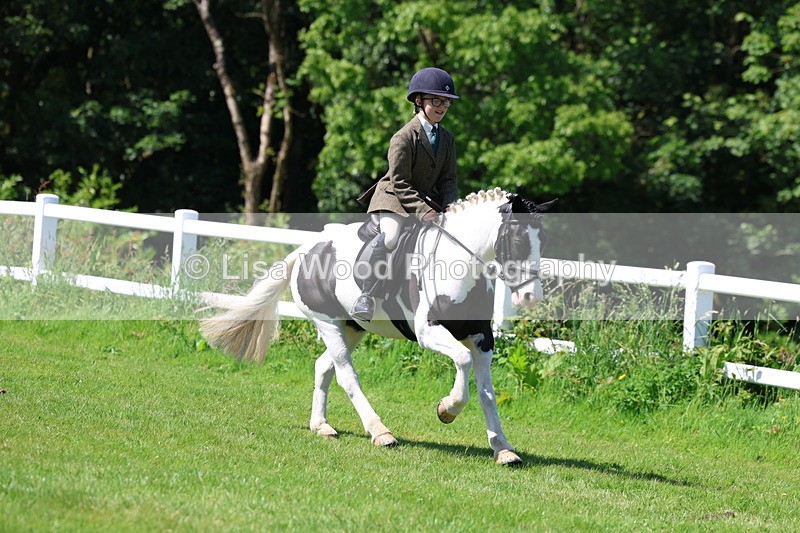3E7A6747 - Working Hunter Pony Championship