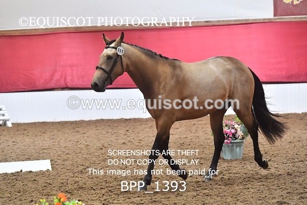 BPP_1393 - MORNING 9AM - 12PM