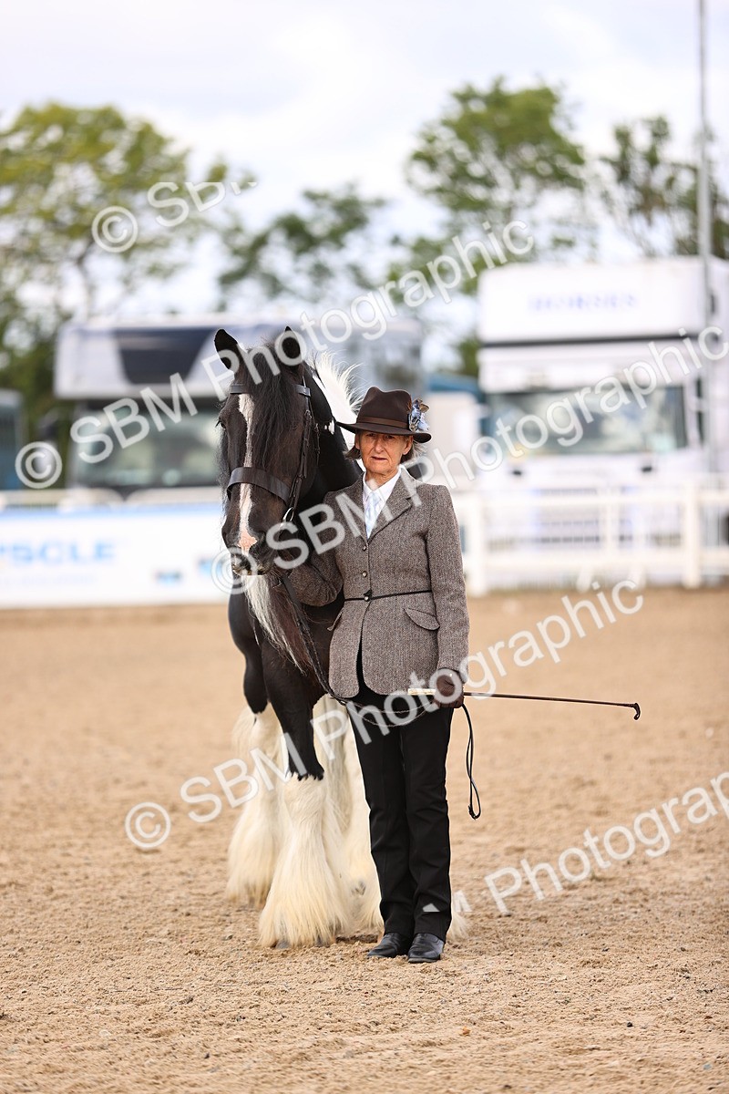 SBM_09319 - Class 404 - IH Traditional - Native Cob