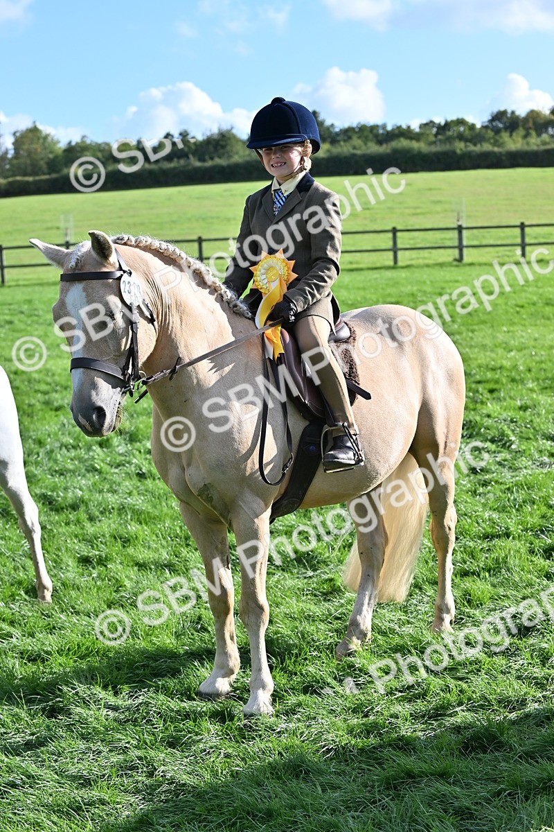 SBM_51288 - S22 - First Ridden show and show Hunter Pony