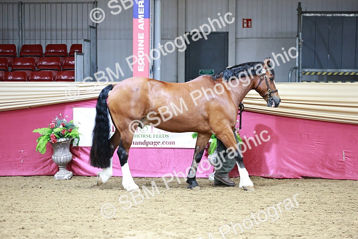 SBM_01123 - Class 3A - Area IH Pre-Vet
