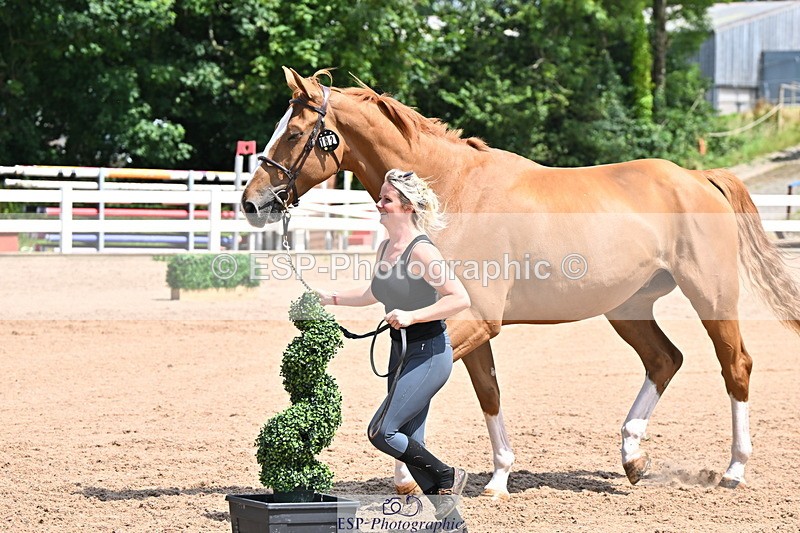 240718A-105251-01242 - Trot Up 12pm to 1pm