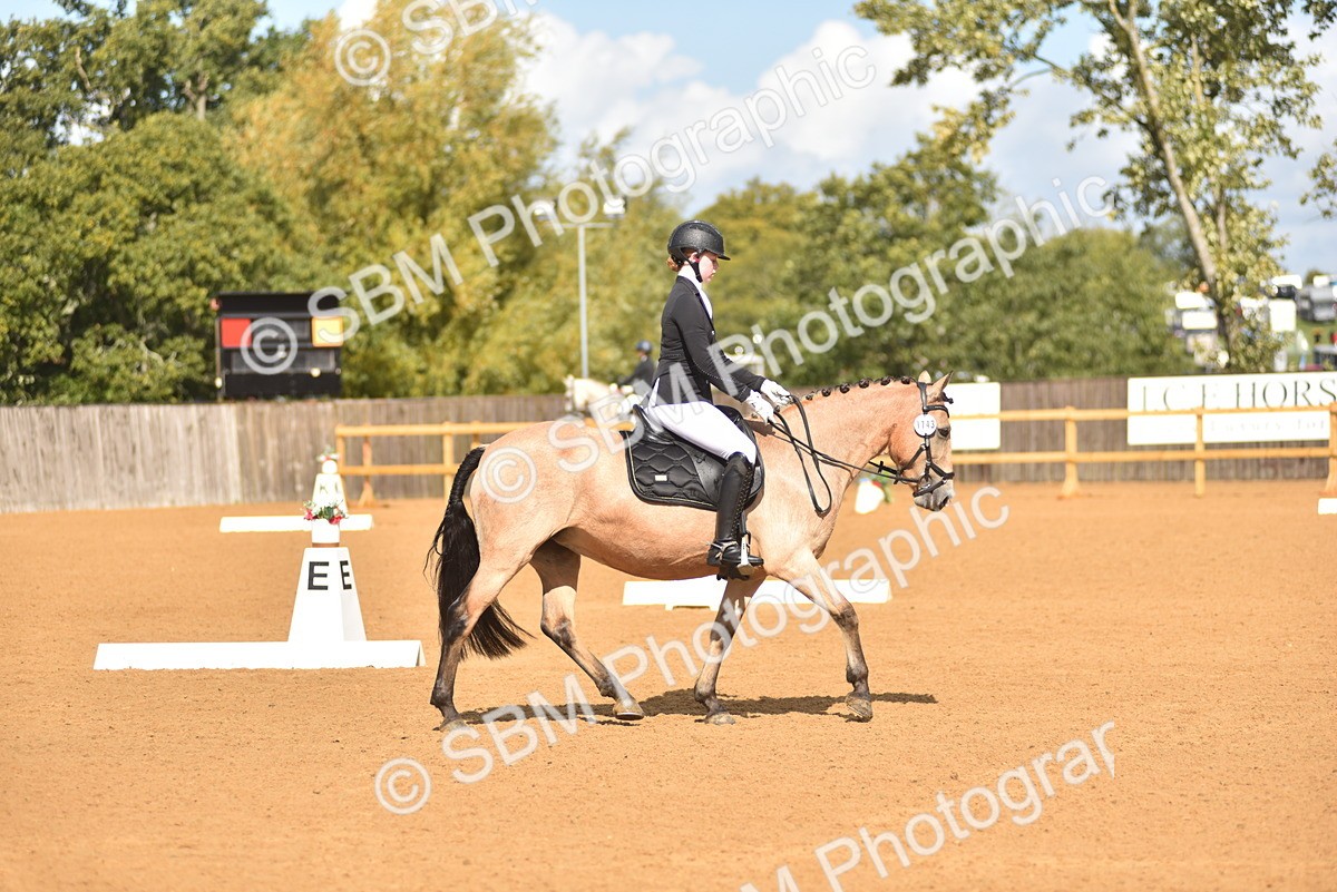 SBM_19937 - D4 - Small Tour Championship Intro 4