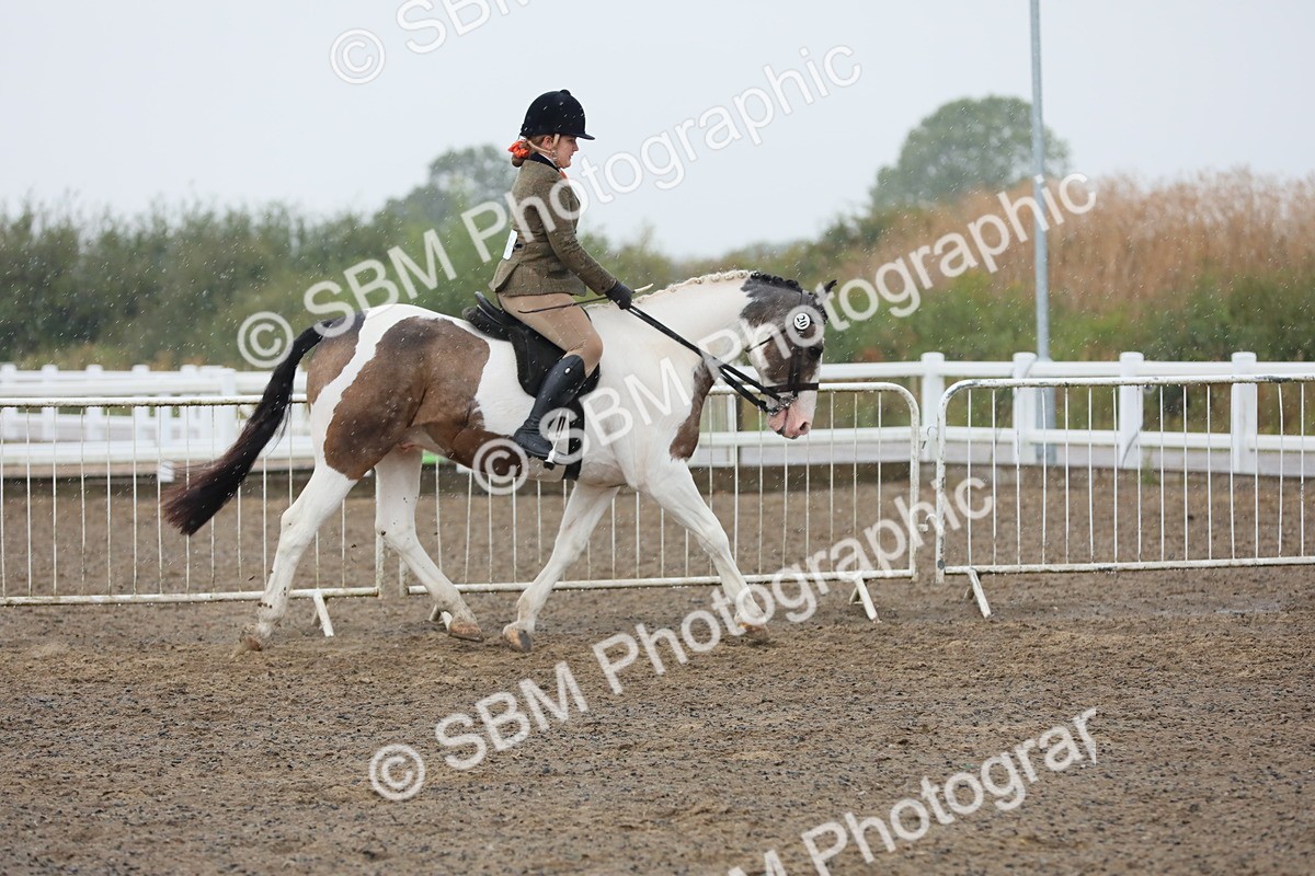 SBM_20549 - Class 804 - Ridden Veteran Pony
