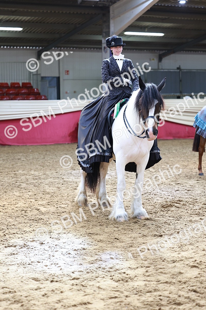 SBM_13823 - Class 106 - Ridden Costume -Astride Adult (15-19)