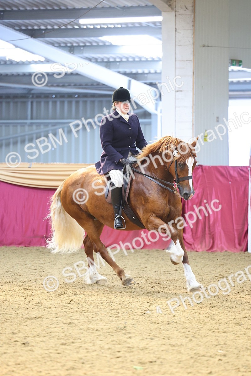SBM_24657 - Class 906 - Supreme Final - Ridden Pre Vet