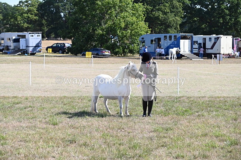 WJ6_4344 - Class 16 Condition & Turn Out