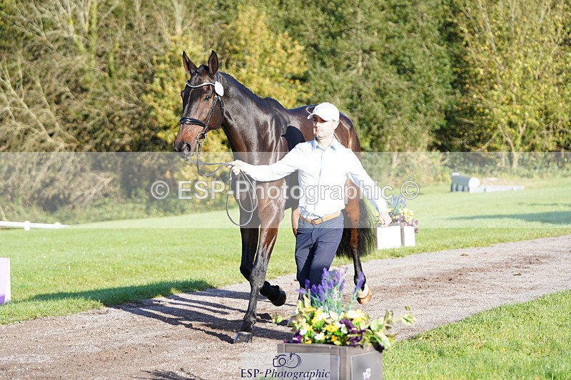 241026-101424-11706 - 051-Tommy.Greengard-BALLADEER.KILBRICKENS.LAD